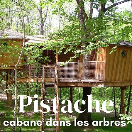 Les Cabanes De Fontfroide Saint-Antoine  Exterior photo